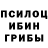 Псилоцибиновые грибы MAGIC MUSHROOMS badsen