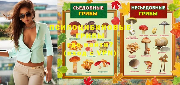 бошки Новокубанск