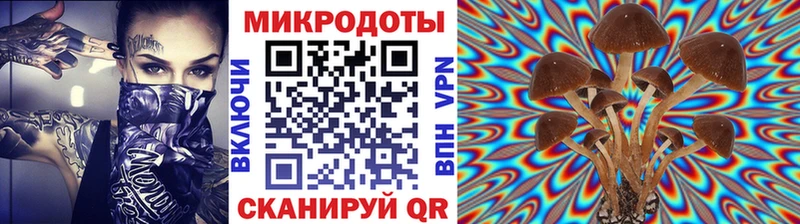 ОМГ ОМГ онион  Инта  Псилоцибиновые грибы мухоморы 